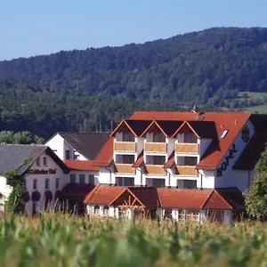 Hotel-restaurant Fränkischer Hof Hotel